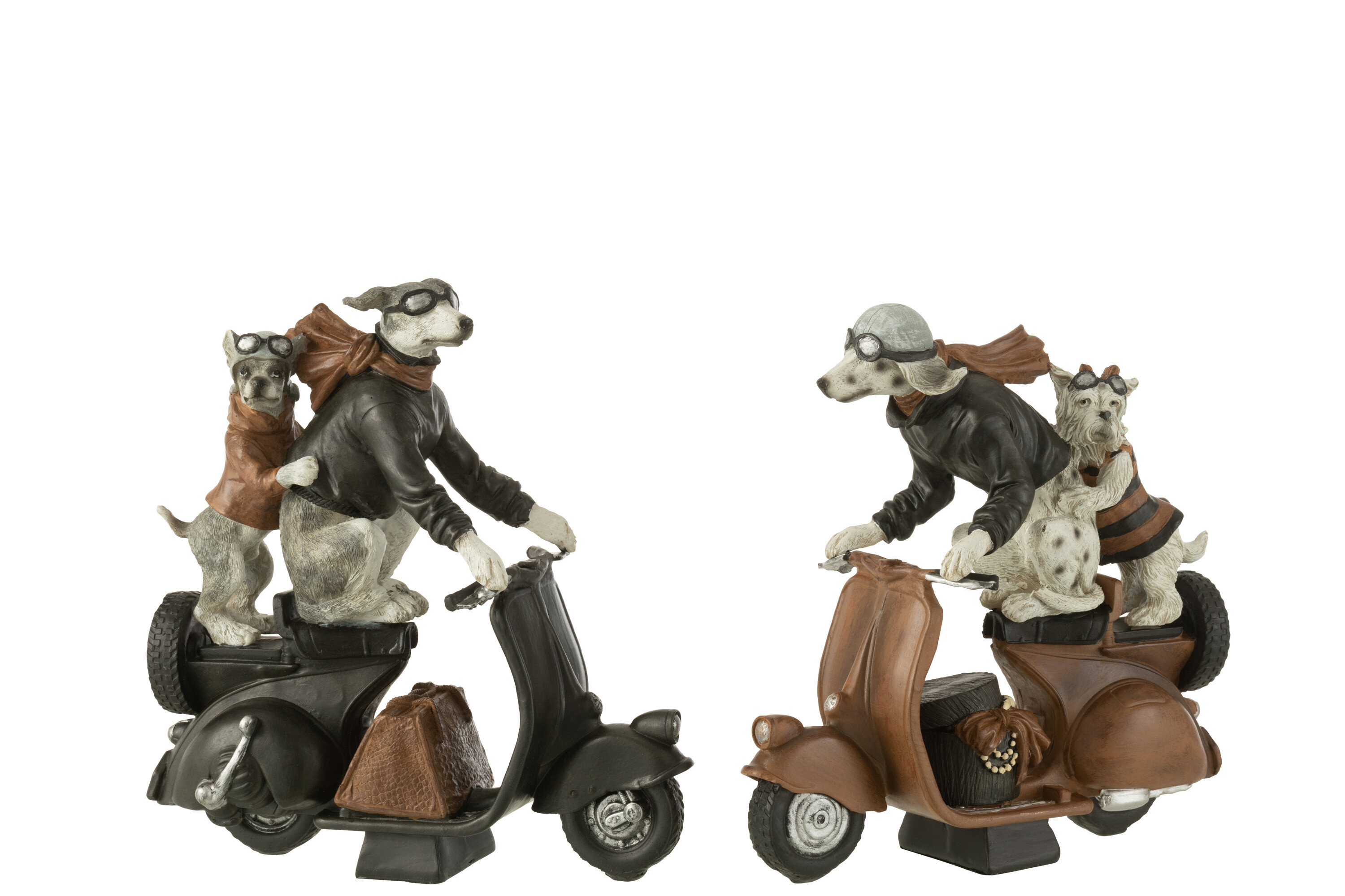 Hond op scooter