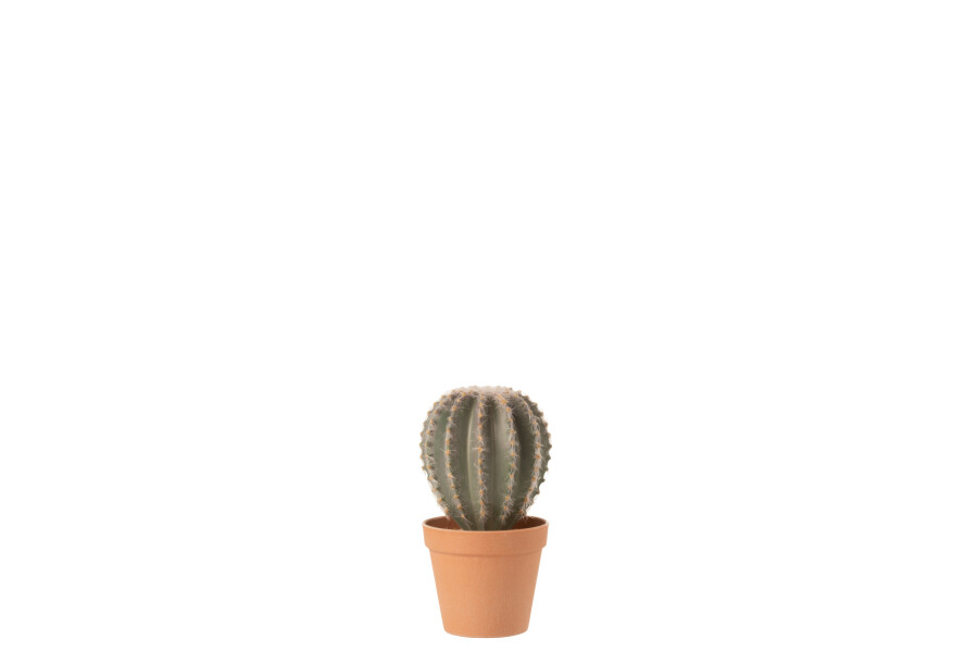 Decoratie Cactus M
