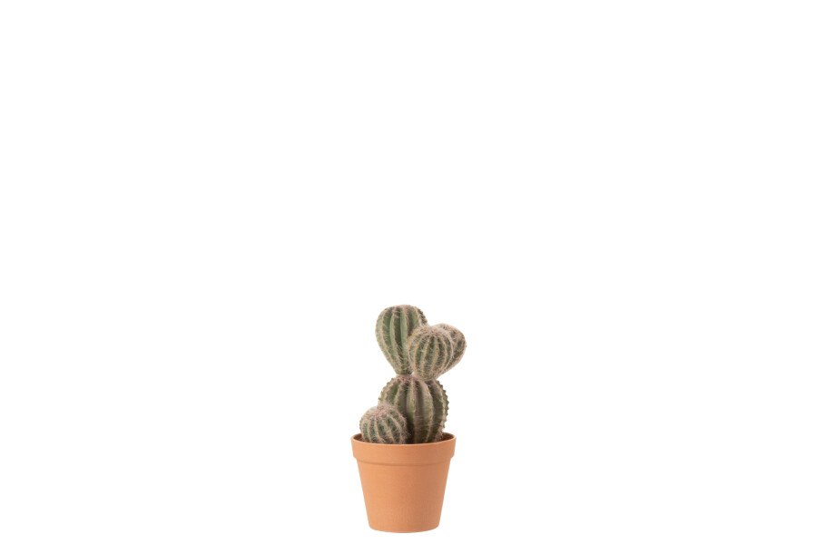 Decoratie Cactus L